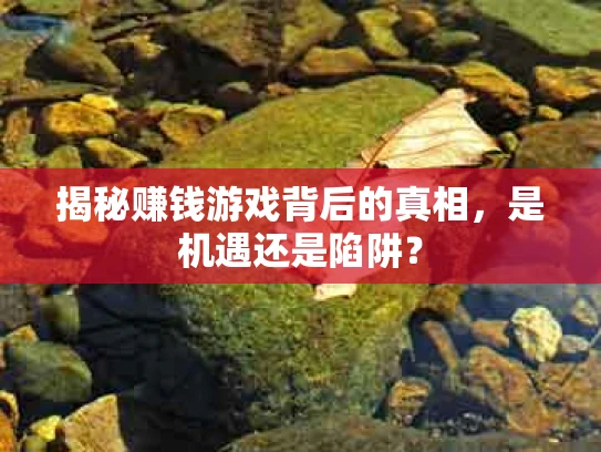 揭秘赚钱游戏背后的真相，是机遇还是陷阱？