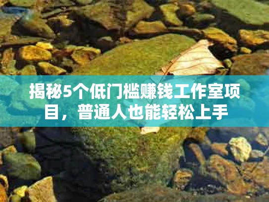 揭秘5个低门槛赚钱工作室项目，普通人也能轻松上手
