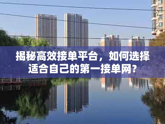 揭秘高效接单平台，如何选择适合自己的第一接单网？