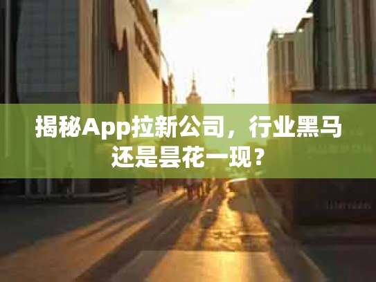 揭秘App拉新公司，行业黑马还是昙花一现？