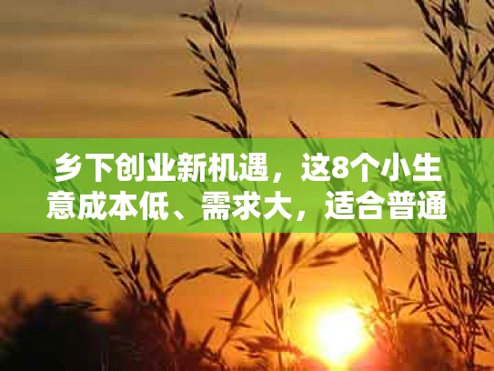 乡下创业新机遇，这8个小生意成本低、需求大，适合普通人起步