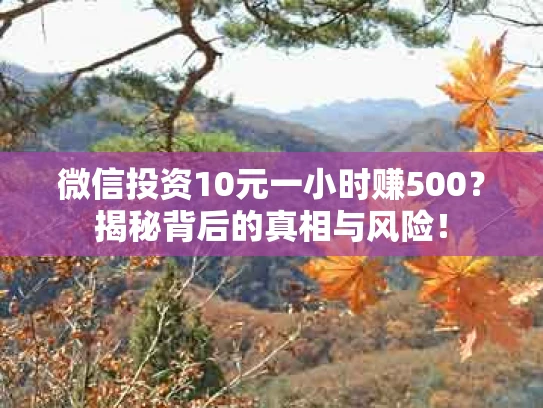 微信投资10元一小时赚500？揭秘背后的真相与风险！
