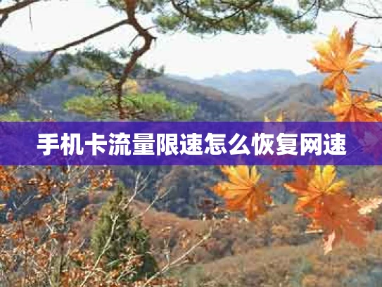 手机卡流量限速怎么恢复网速