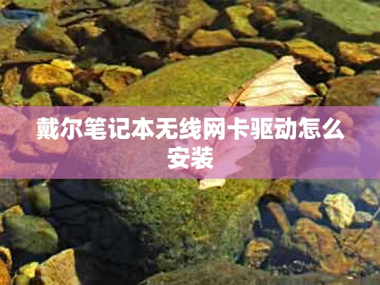 戴尔笔记本无线网卡驱动怎么安装
