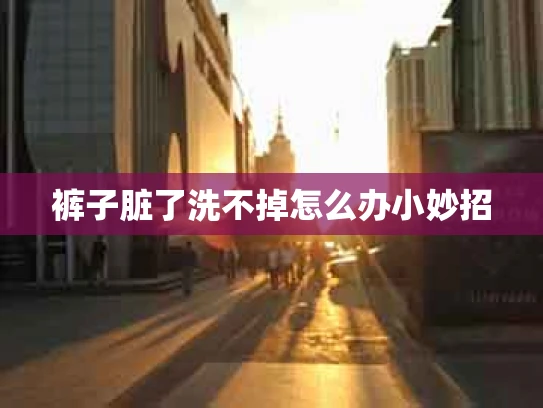 裤子脏了洗不掉怎么办小妙招
