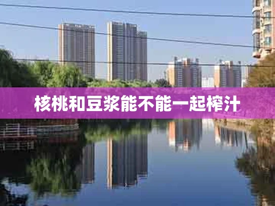 核桃和豆浆能不能一起榨汁