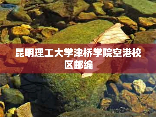 昆明理工大学津桥学院空港校区邮编