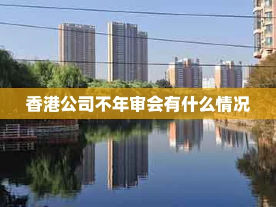香港公司不年审会有什么情况