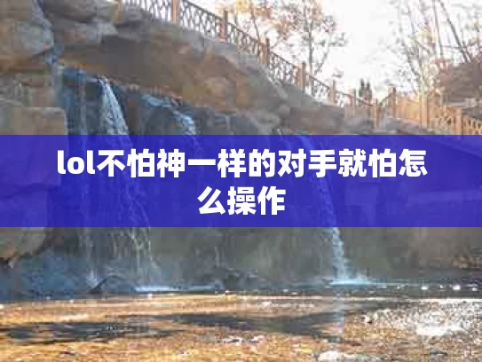 lol不怕神一样的对手就怕怎么操作