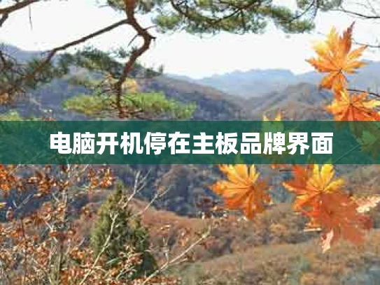 电脑开机停在主板品牌界面