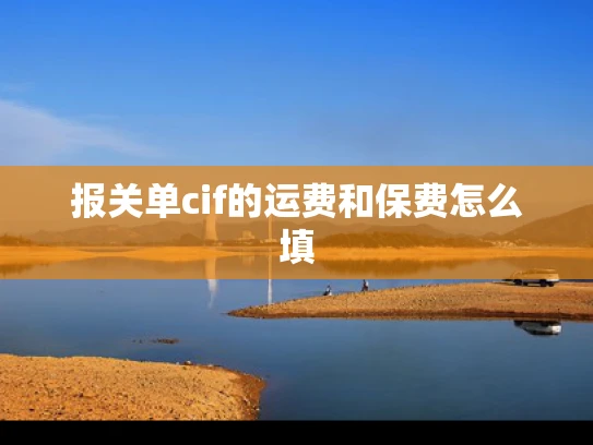 报关单cif的运费和保费怎么填