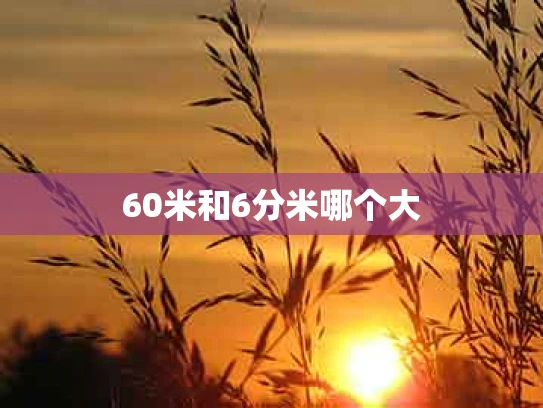 60米和6分米哪个大