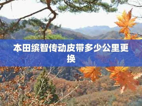 本田缤智传动皮带多少公里更换