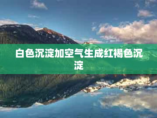 白色沉淀加空气生成红褐色沉淀