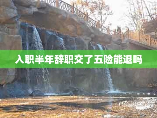 入职半年辞职交了五险能退吗