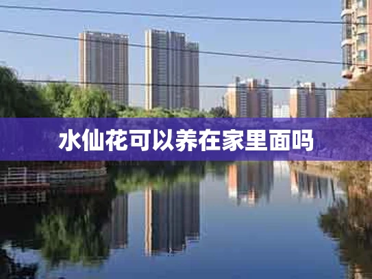 水仙花可以养在家里面吗
