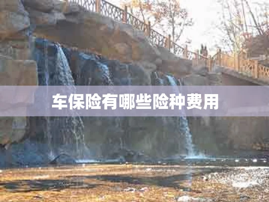 车保险有哪些险种费用