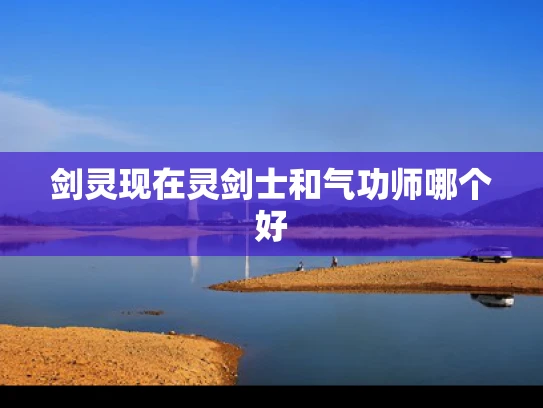 剑灵现在灵剑士和气功师哪个好