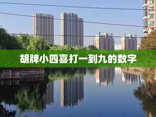 胡牌小四喜打一到九的数字