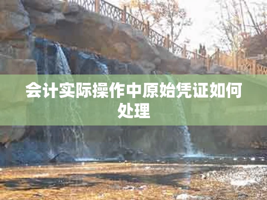 会计实际操作中原始凭证如何处理