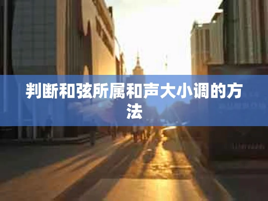 判断和弦所属和声大小调的方法