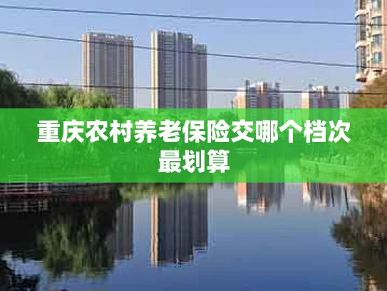 重庆农村养老保险交哪个档次最划算