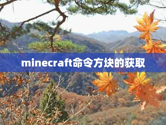 minecraft命令方块的获取