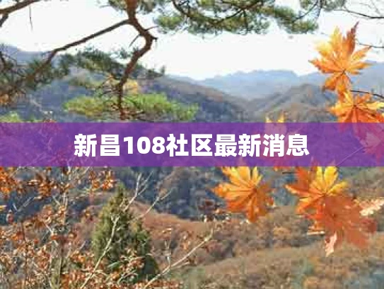 新昌108社区最新消息