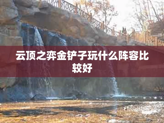 云顶之弈金铲子玩什么阵容比较好