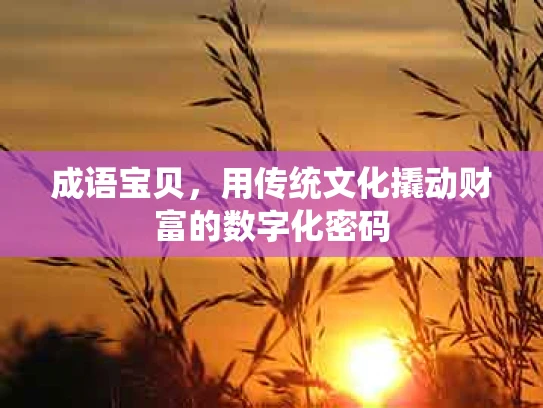 成语宝贝，用传统文化撬动财富的数字化密码