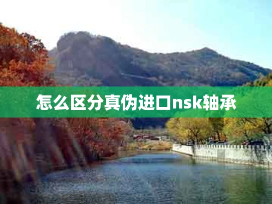 怎么区分真伪进口nsk轴承