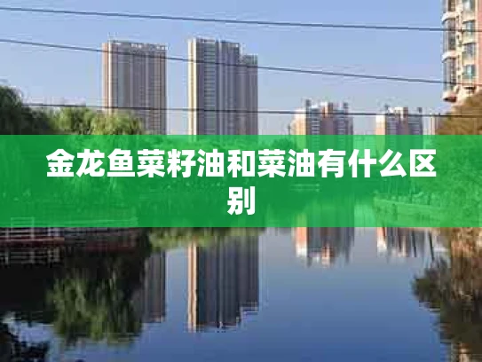 金龙鱼菜籽油和菜油有什么区别