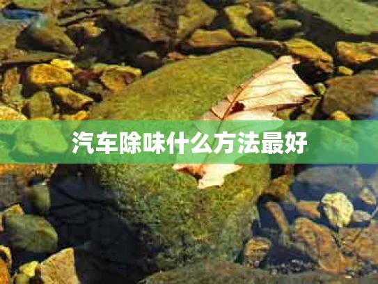 汽车除味什么方法最好