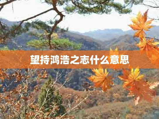 望持鸿浩之志什么意思
