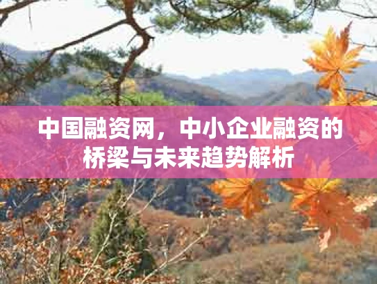 中国融资网，中小企业融资的桥梁与未来趋势解析