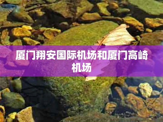 厦门翔安国际机场和厦门高崎机场