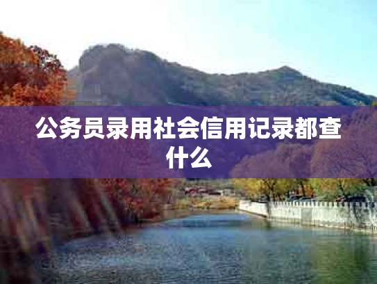 公务员录用社会信用记录都查什么
