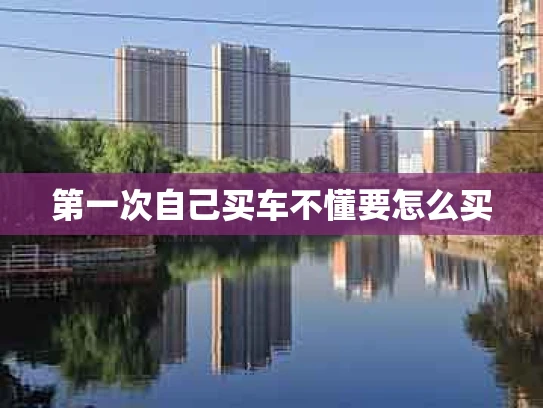 第一次自己买车不懂要怎么买