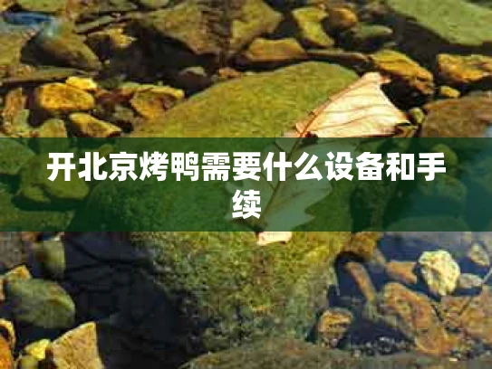开北京烤鸭需要什么设备和手续