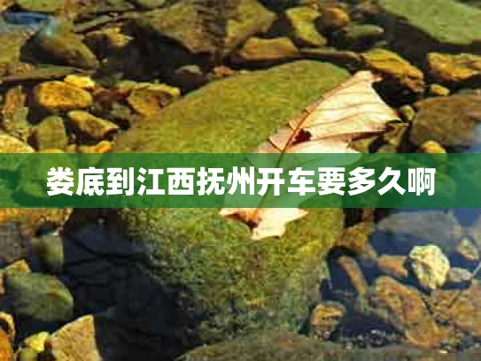 娄底到江西抚州开车要多久啊