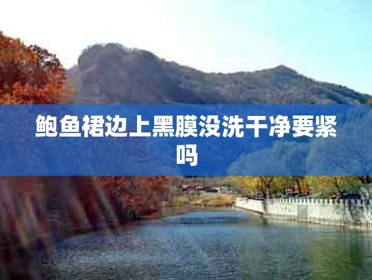 鲍鱼裙边上黑膜没洗干净要紧吗