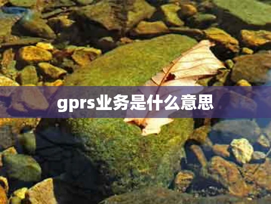 gprs业务是什么意思