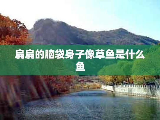扁扁的脑袋身子像草鱼是什么鱼