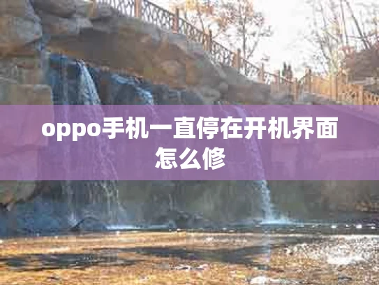 oppo手机一直停在开机界面怎么修