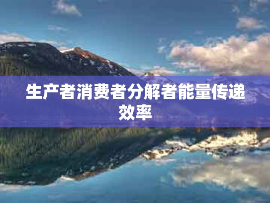 生产者消费者分解者能量传递效率