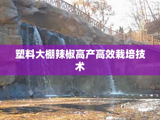 塑料大棚辣椒高产高效栽培技术