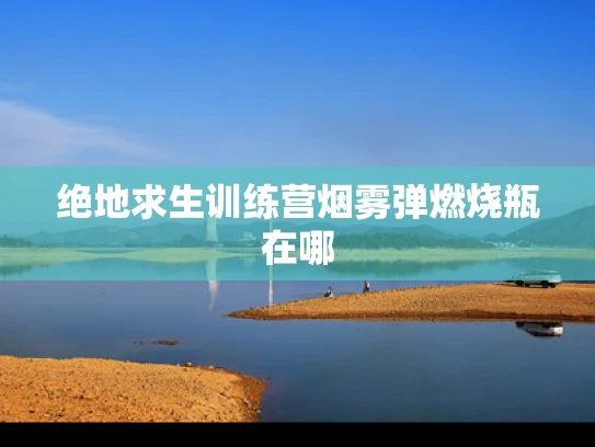 绝地求生训练营烟雾弹燃烧瓶在哪