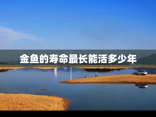 金鱼的寿命最长能活多少年