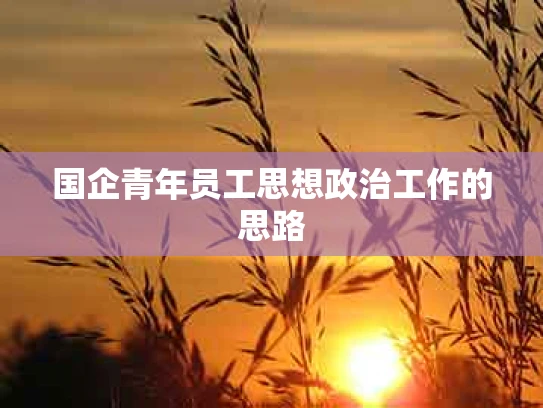 国企青年员工思想政治工作的思路