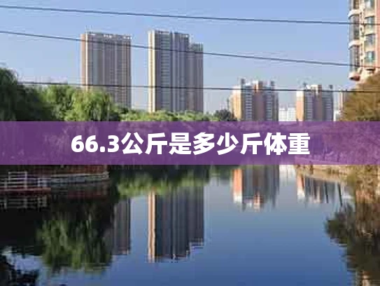66.3公斤是多少斤体重